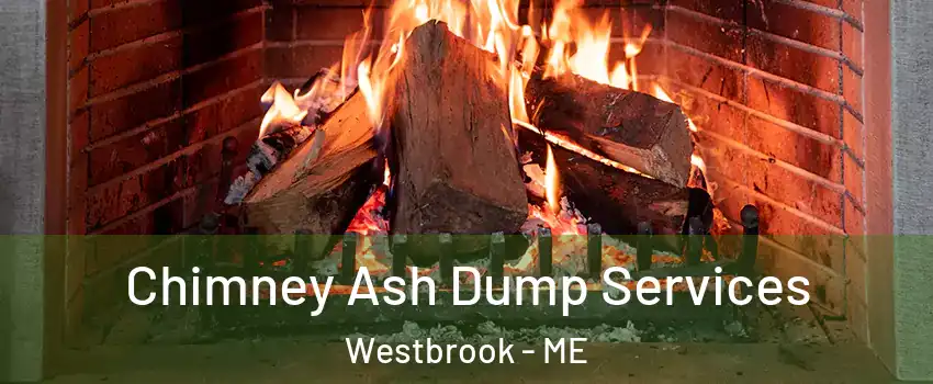  Chimney Ash Dump Services Westbrook - ME