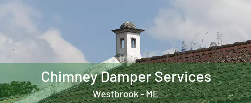  Chimney Damper Services Westbrook - ME