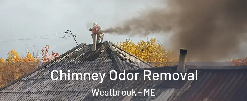  Chimney Odor Removal Westbrook - ME