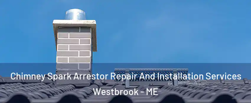 Chimney Spark Arrestor Repair And Installation Services Westbrook - ME
