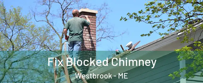  Fix Blocked Chimney Westbrook - ME