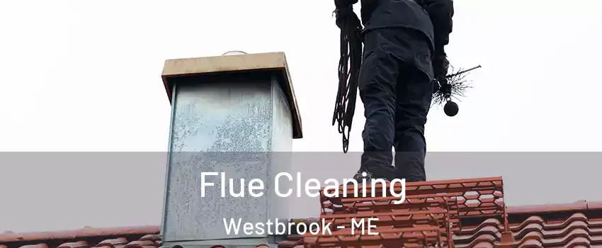  Flue Cleaning Westbrook - ME
