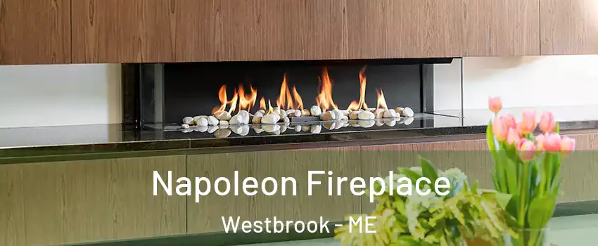  Napoleon Fireplace Westbrook - ME
